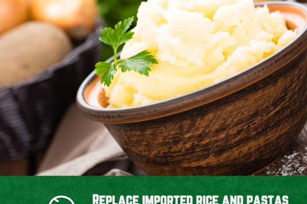 Sayyes-to-fresh-Grid-2_06